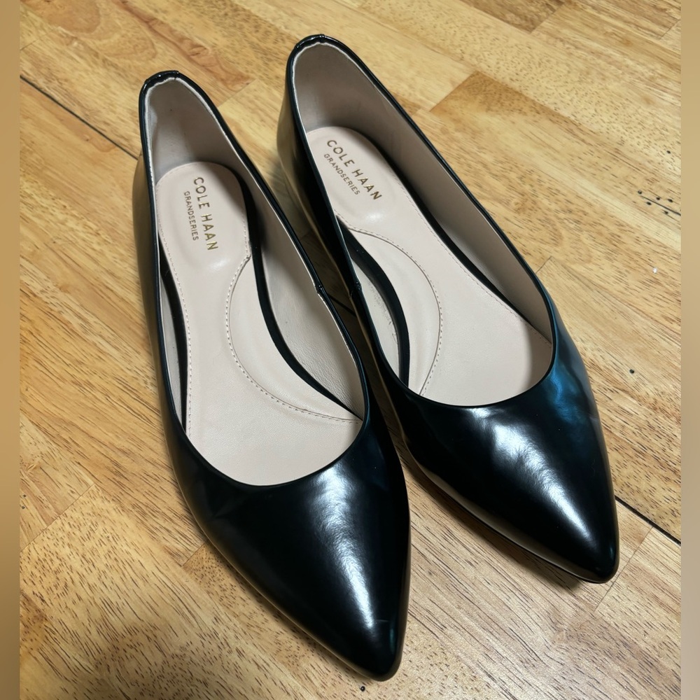 Nearly new black Cole Haan pointy toe flats